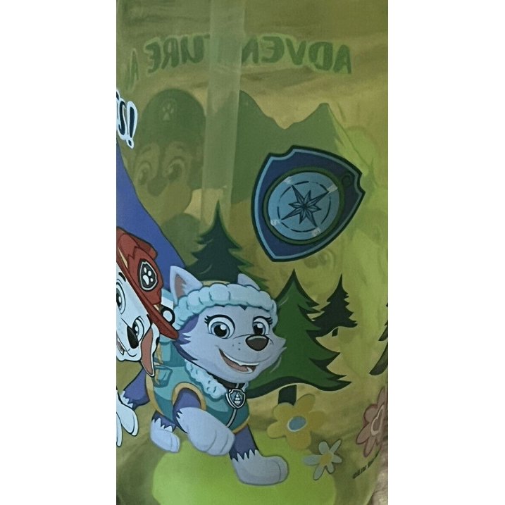 Zak! Designs Paw Patrol Water Bottle / Sippy Cup