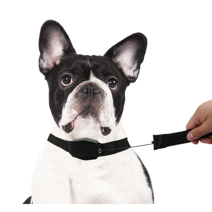 Lucky Leash Retractable Leash & Collar - Size Small/Medium (10-35 lbs), As Seen on TV