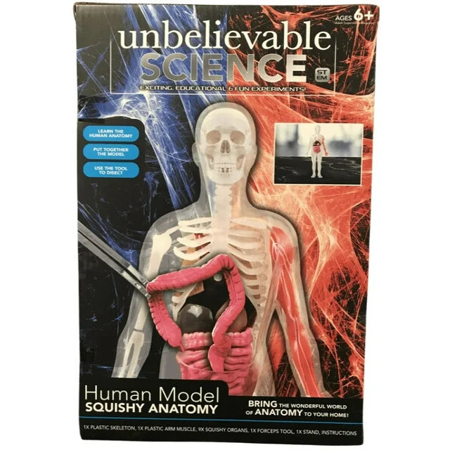 Science Squad Unbelievable Science Human Model Squishy Anatomy