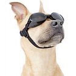 CT Coutudi Dog Goggles /Black