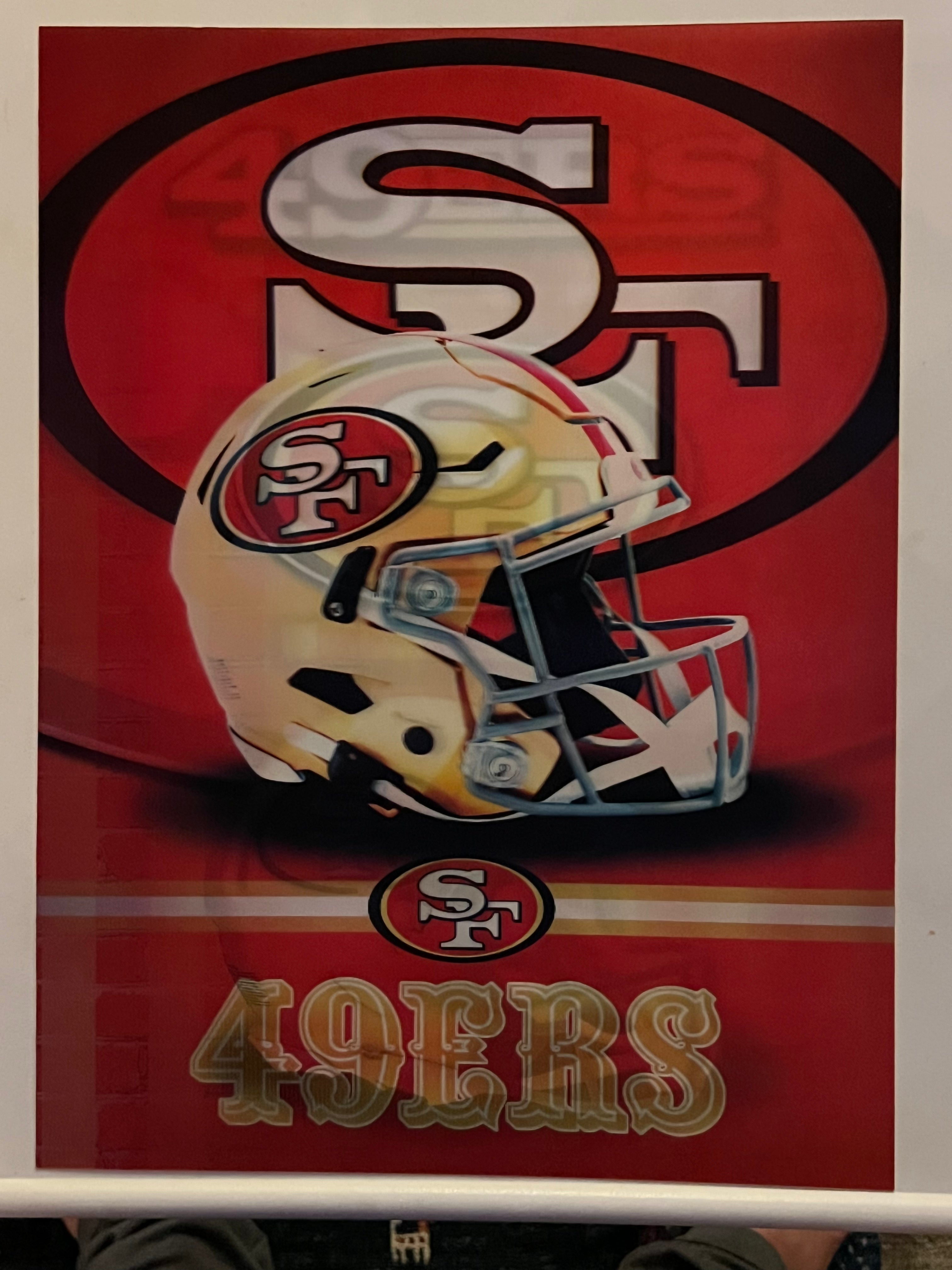 NFL San Francisco 49ers 3-D Technology Wall Mount