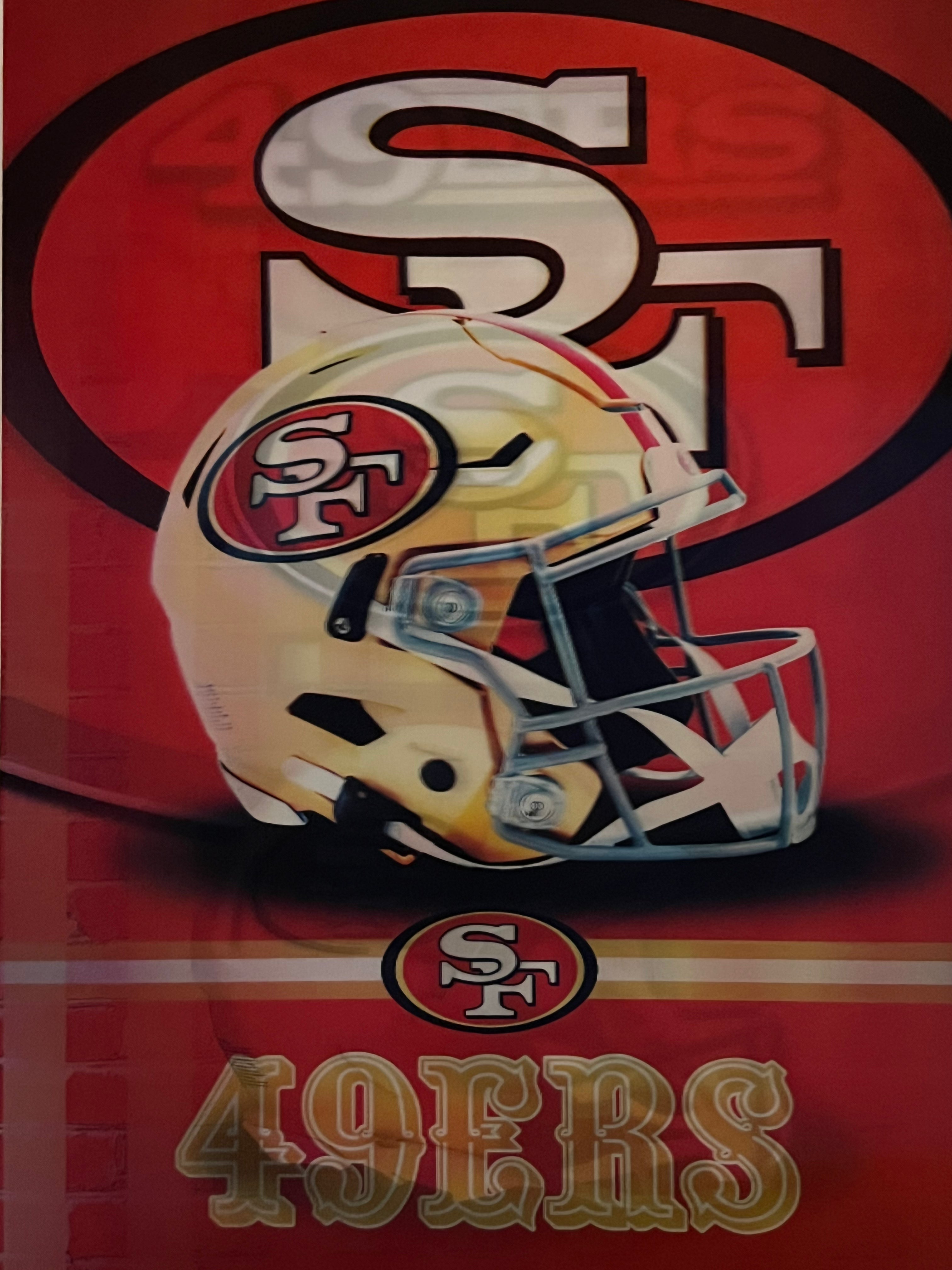 NFL San Francisco 49ers 3-D Technology Wall Mount