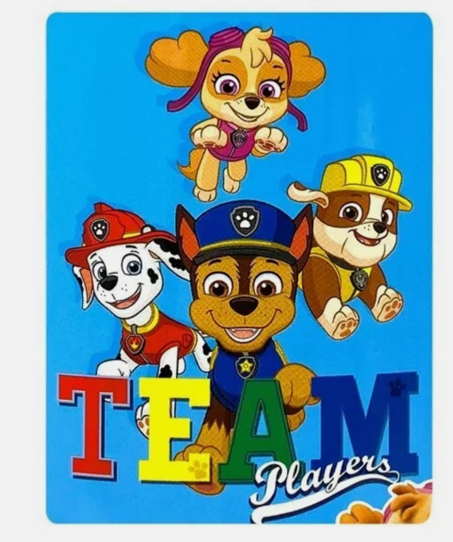 Paw Patrol "Fantastic Team" 45x60" Fleece