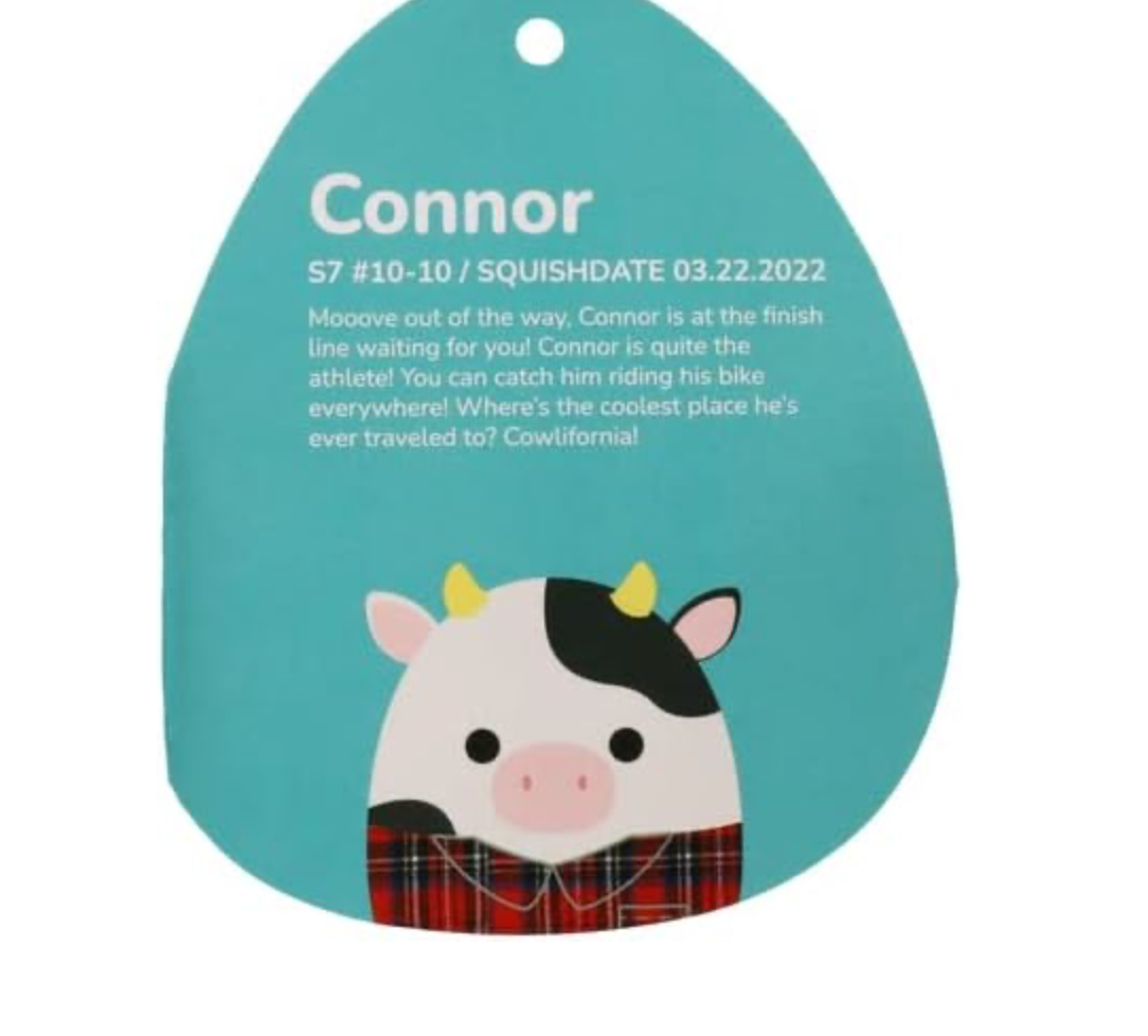 squishmallows 7.5 inch Connor Cow Plush