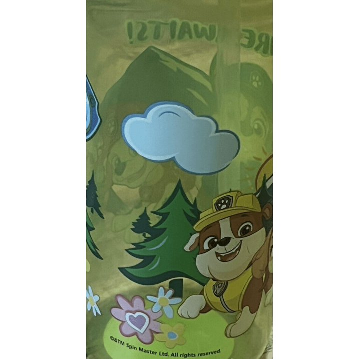 Zak! Designs Paw Patrol Water Bottle / Sippy Cup